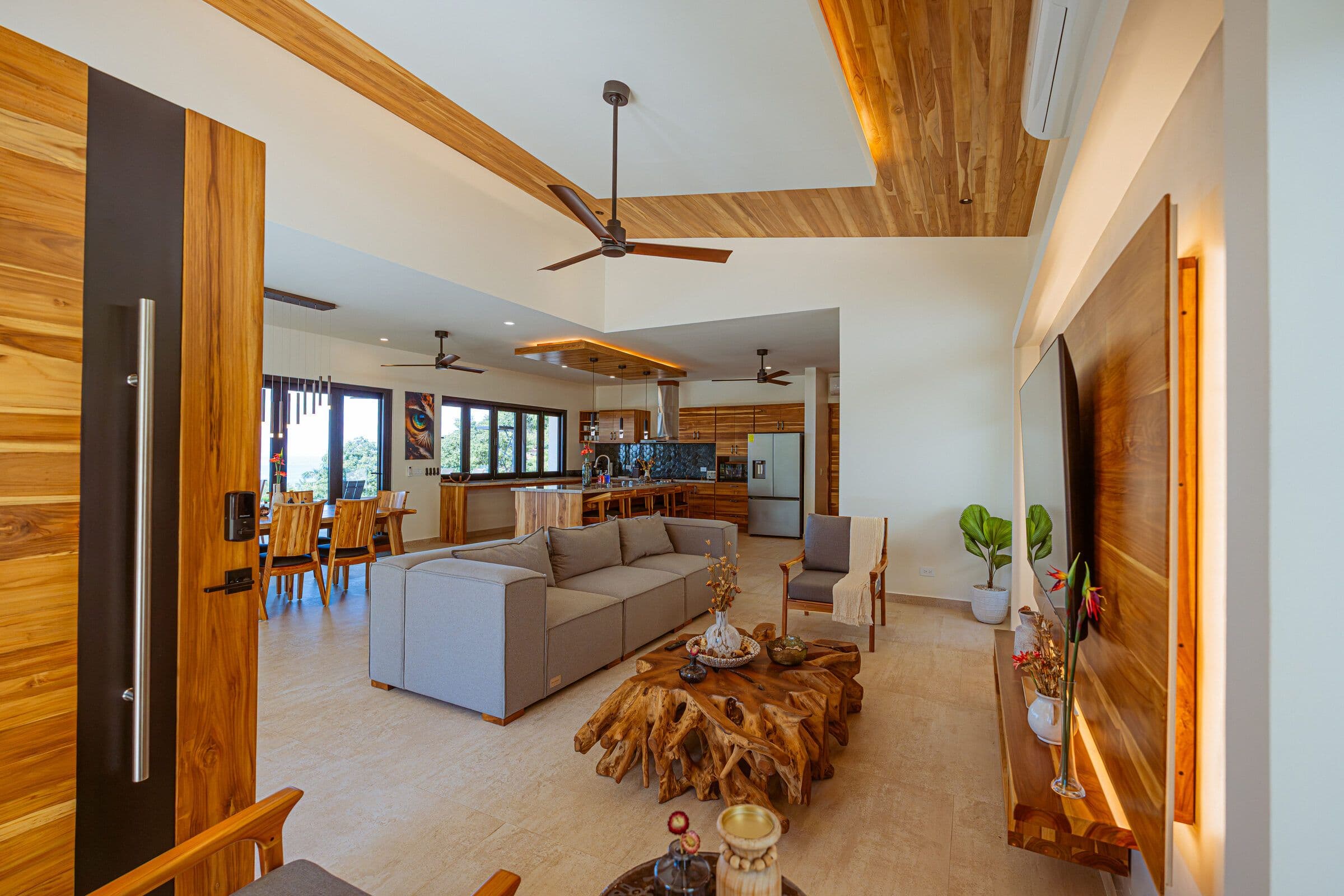 Entrance view showing all social areas